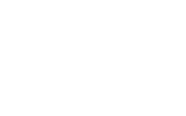 Software GmbH & Co. KG